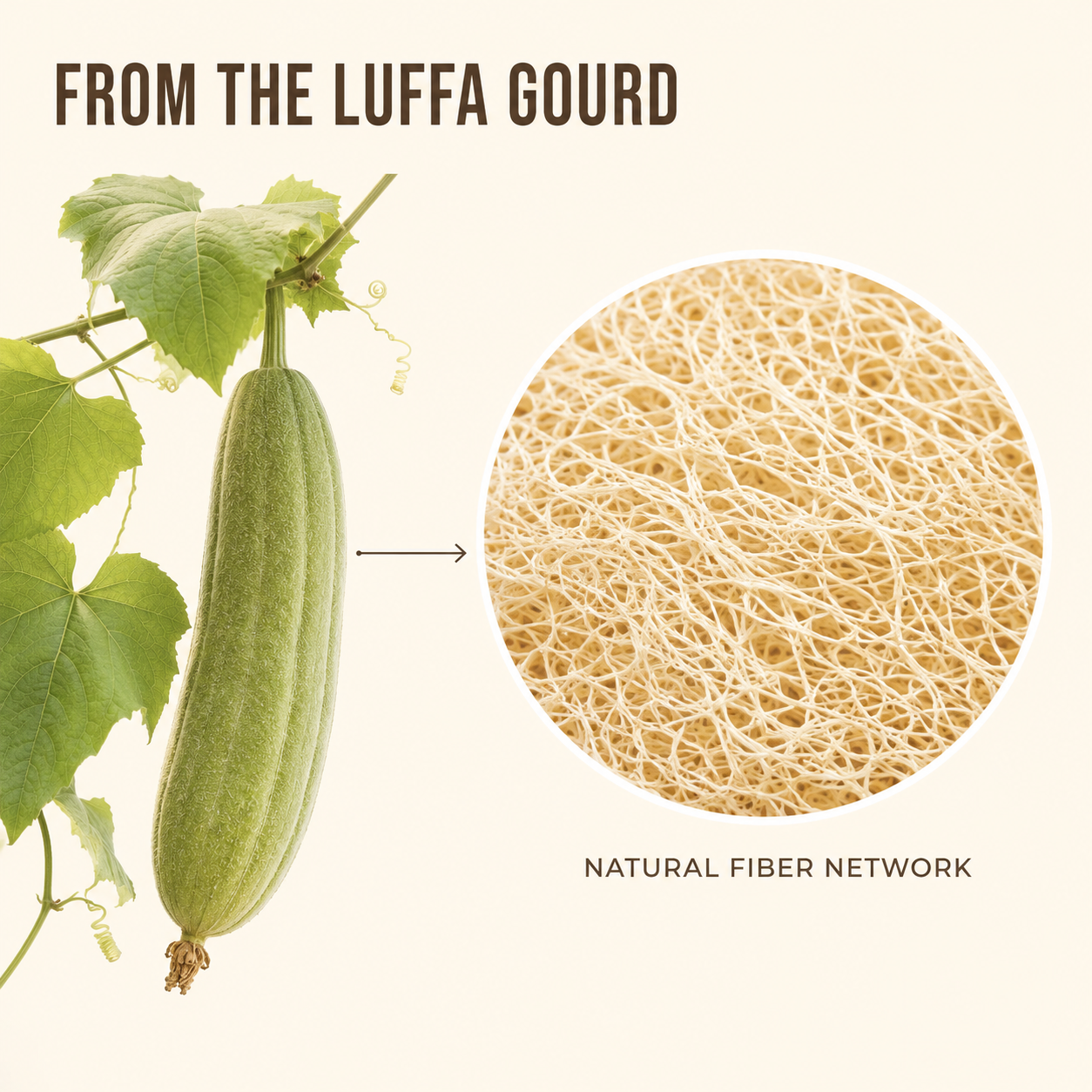 Lunix Luffa Kitchen Scrubber